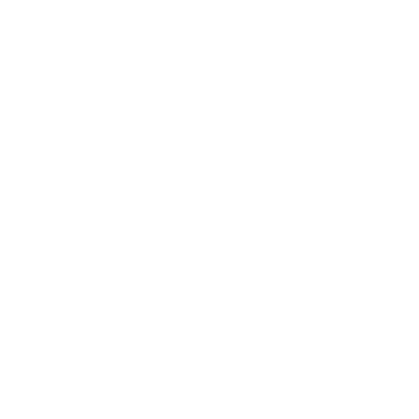 CV