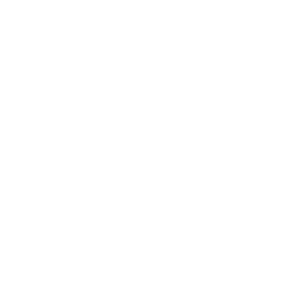 CV