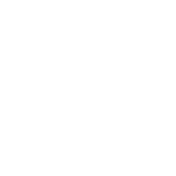 CV
