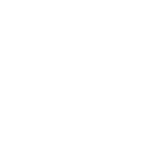 CV
